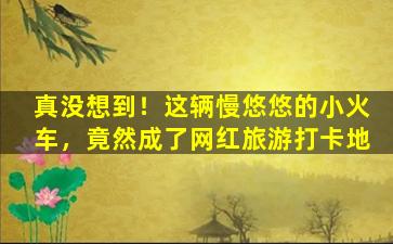 真没想到！这辆慢悠悠的小火车，竟然成了网红旅游打卡地