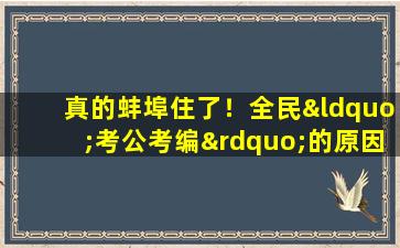 真的蚌埠住了！全民“考公考编”的原因被我找到了！