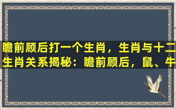 瞻前顾后打一个生肖，生肖与十二生肖关系揭秘：瞻前顾后，鼠、牛、虎如何影响你的运势？