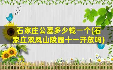 石家庄公墓多少钱一个(石家庄双凤山陵园十一开放吗)