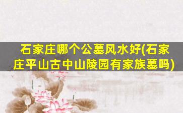 石家庄哪个公墓风水好(石家庄平山古中山陵园有家族墓吗)