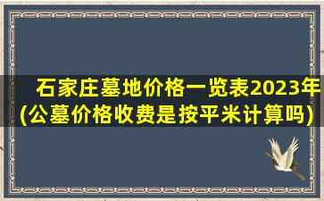 石家庄墓地价格一览表2023年(公墓价格收费是按平米计算吗)