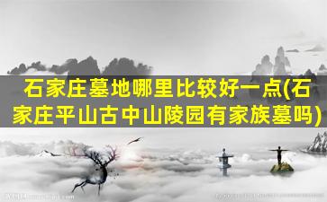 石家庄墓地哪里比较好一点(石家庄平山古中山陵园有家族墓吗)