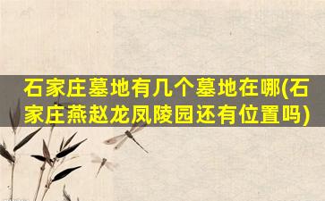 石家庄墓地有几个墓地在哪(石家庄燕赵龙凤陵园还有位置吗)