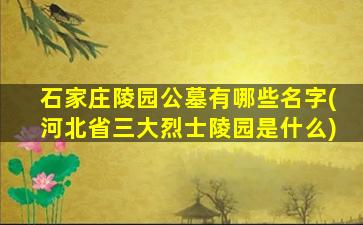 石家庄陵园公墓有哪些名字(河北省三大烈士陵园是什么)
