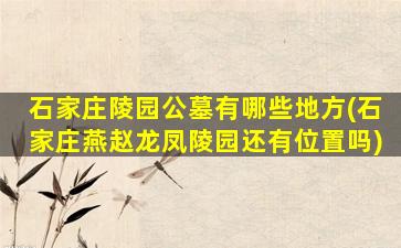 石家庄陵园公墓有哪些地方(石家庄燕赵龙凤陵园还有位置吗)