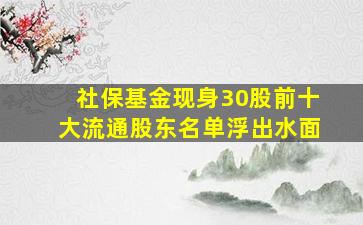 社保基金现身30股前十大流通股东名单浮出水面