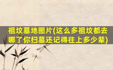 祖坟墓地图片(这么多祖坟都去哪了你扫墓还记得往上多少辈)
