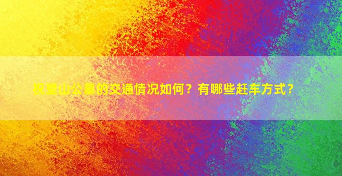 祝望山公墓的交通情况如何？有哪些赶车方式？