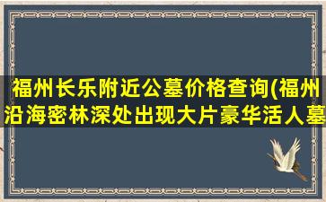 福州长乐附近公墓价格查询(福州沿海密林深处出现大片豪华活人墓)