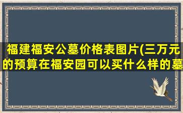 福建福安公墓价格表图片(三万元的预算在福安园可以买什么样的墓碑)