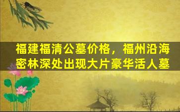 福建福清公墓价格，福州沿海密林深处出现大片豪华活人墓