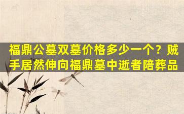 福鼎公墓双墓价格多少一个？贼手居然伸向福鼎墓中逝者陪葬品