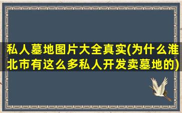 私人墓地图片大全真实(为什么淮北市有这么多私人开发卖墓地的)