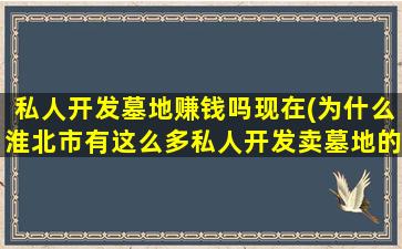 私人开发墓地赚钱吗现在(为什么淮北市有这么多私人开发卖墓地的)