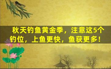 秋天钓鱼黄金季，注意这5个钓位，上鱼更快，鱼获更多！