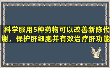 科学服用5种药物可以改善新陈代谢，保护肝细胞并有效治疗肝功能异常