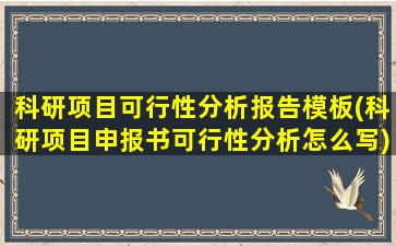 科研项目可行性分析报告模板(科研项目申报书可行性分析怎么写)