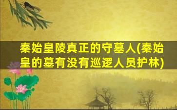秦始皇陵真正的守墓人(秦始皇的墓有没有巡逻人员护林)