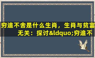 穷追不舍是什么生肖，生肖与贫富无关：探讨“穷追不舍”的含义与传承