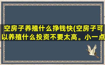 空房子养殖什么挣钱快(空房子可以养殖什么投资不要太高。小一点的动物最好)