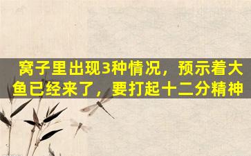 窝子里出现3种情况，预示着大鱼已经来了，要打起十二分精神