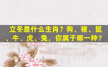 立冬是什么生肖？狗、猪、鼠、牛、虎、兔，你属于哪一种？
