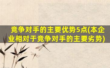 竞争对手的主要优势5点(本企业相对于竞争对手的主要劣势)