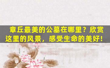 章丘最美的公墓在哪里？欣赏这里的风景，感受生命的美好！