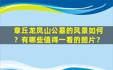 章丘龙凤山公墓的风景如何？有哪些值得一看的图片？