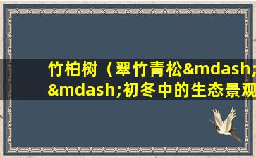 竹柏树（翠竹青松——初冬中的生态景观）