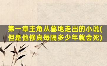 第一章主角从墓地走出的小说(但是他修真每隔多少年就会死)