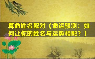 算命姓名配对（命运预测：如何让你的姓名与运势相配？）