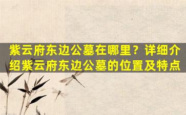 紫云府东边公墓在哪里？详细介绍紫云府东边公墓的位置及特点