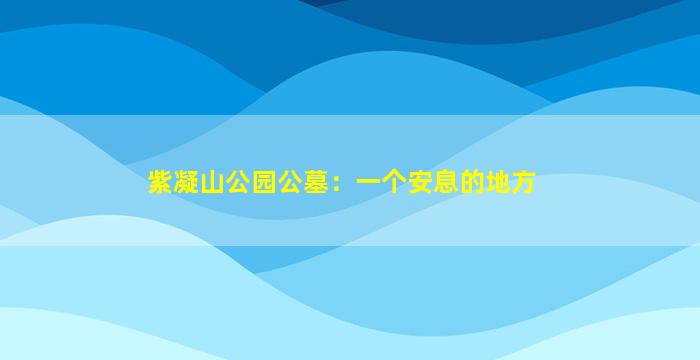 紫凝山公园公墓：一个安息的地方