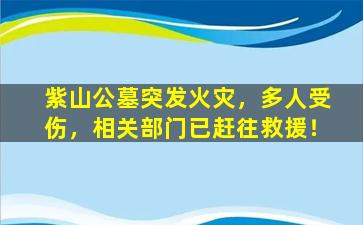 紫山公墓突发火灾，多人受伤，相关部门已赶往救援！