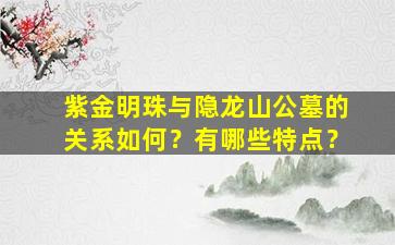 紫金明珠与隐龙山公墓的关系如何？有哪些特点？