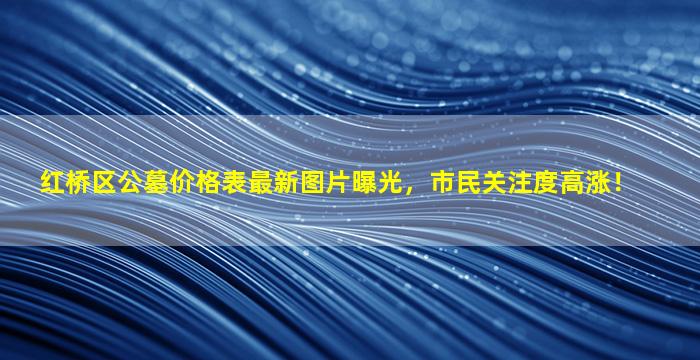 红桥区公墓价格表最新图片曝光，市民关注度高涨！