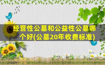经营性公墓和公益性公墓哪个好(公墓20年收费标准)