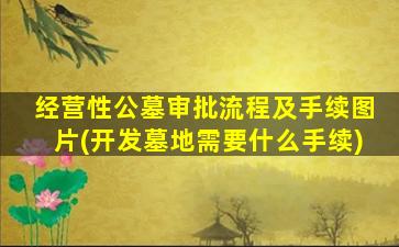 经营性公墓审批流程及手续图片(开发墓地需要什么手续)