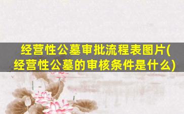 经营性公墓审批流程表图片(经营性公墓的审核条件是什么)