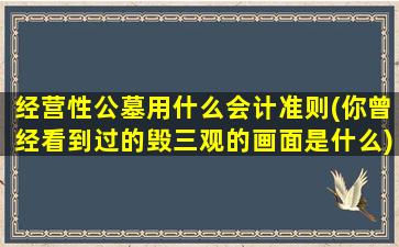 经营性公墓用什么会计准则(你曾经看到过的毁三观的画面是什么)
