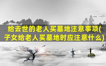 给去世的老人买墓地注意事项(子女给老人买墓地时应注意什么)