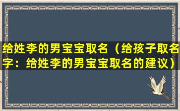 给姓李的男宝宝取名（给孩子取名字：给姓李的男宝宝取名的建议）