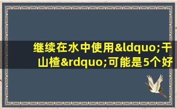 继续在水中使用“干山楂”可能是5个好处。建议尽早知道