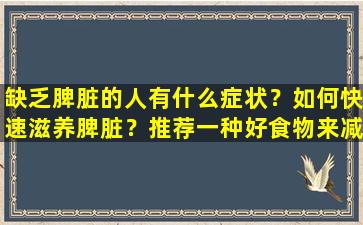 缺乏脾脏的人有什么症状？如何快速滋养脾脏？推荐一种好食物来减轻肝脏并加强脾脏