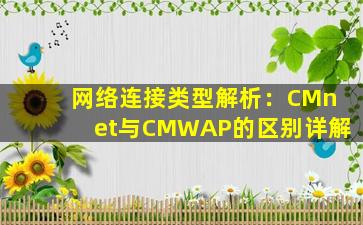 网络连接类型解析：CMnet与CMWAP的区别详解