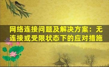 网络连接问题及解决方案：无连接或受限状态下的应对措施