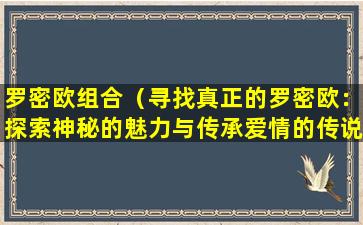 罗密欧组合（寻找真正的罗密欧：探索神秘的魅力与传承爱情的传说）
