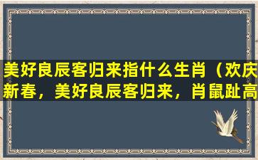 美好良辰客归来指什么生肖（欢庆新春，美好良辰客归来，肖鼠趾高气扬）